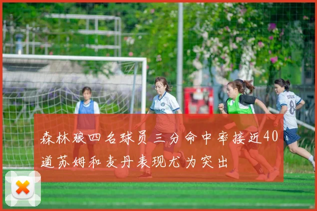 森林狼四名球员三分命中率接近40道苏姆和麦丹表现尤为突出