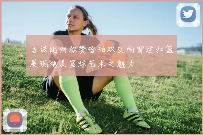 吉诺比利称赞哈珀双变向背运扣篮展现绝美篮球艺术之魅力