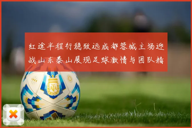 红途半程行稳致远成都蓉城主场迎战山东泰山展现足球激情与团队精神