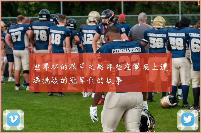 世界杯的艰辛之路那些在赛场上遭遇挑战的冠军们的故事
